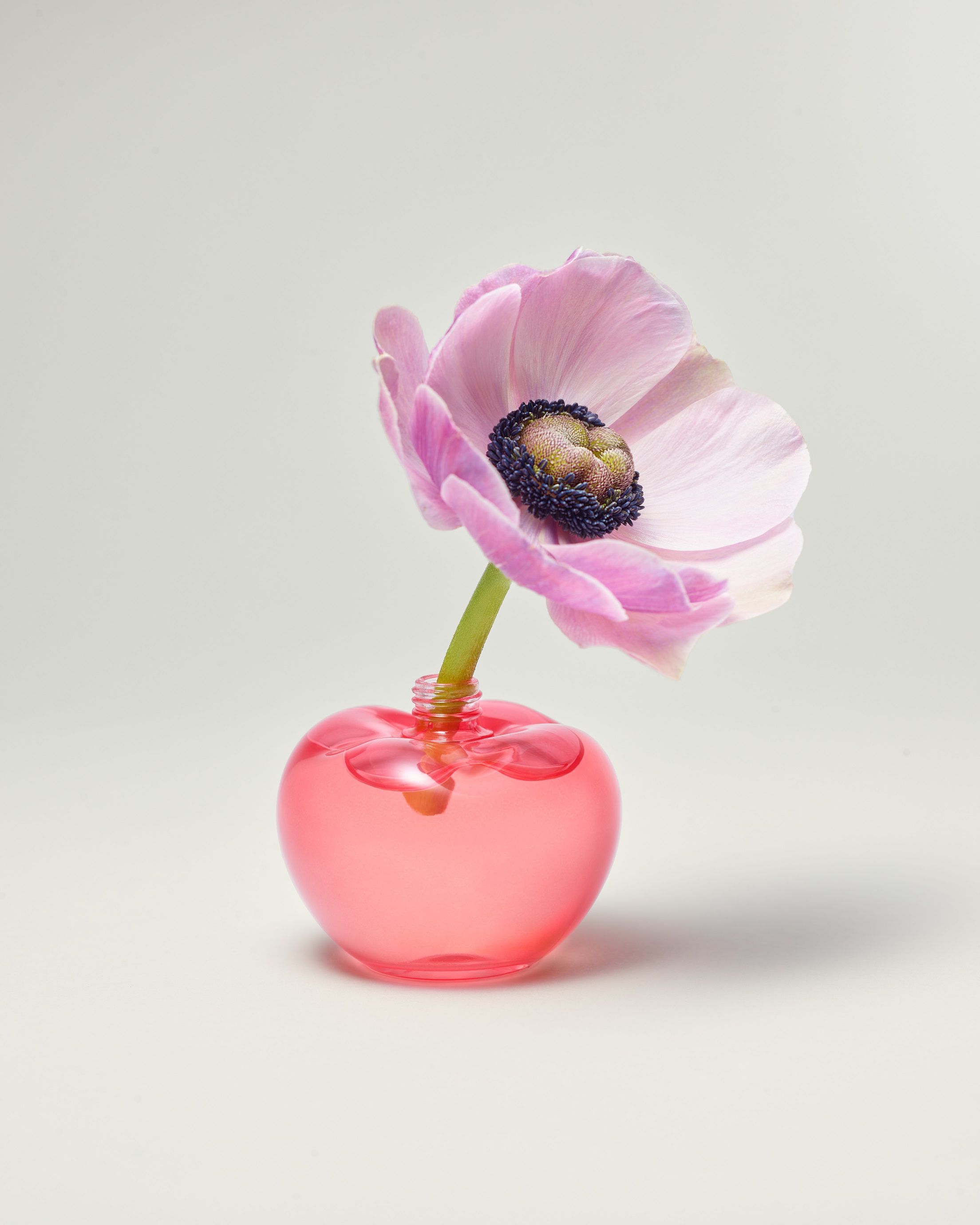 Fantasia in C  @Nina Lelchuk (ニナ・レルチュク) Nina le parfum- fall for for for for for for Nina | Nina Ricci